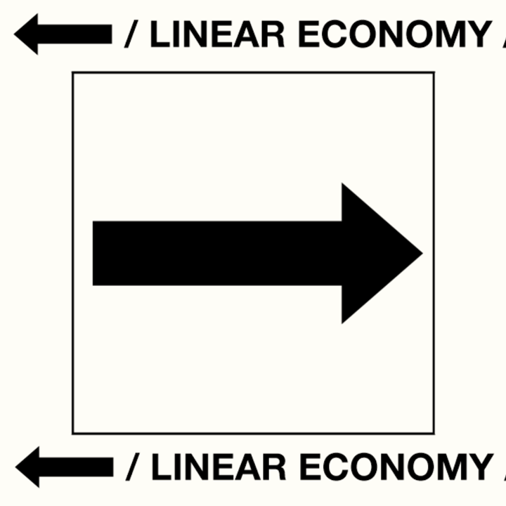 WHAT IS LINEAR ECONOMY?